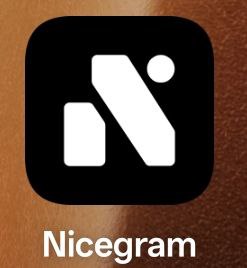 Nicegram 图标